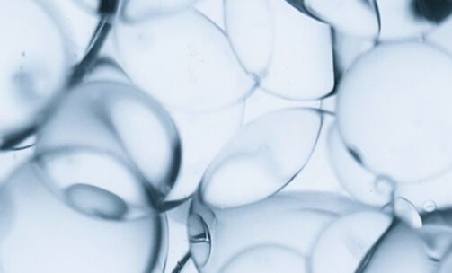 CERAMIDE R