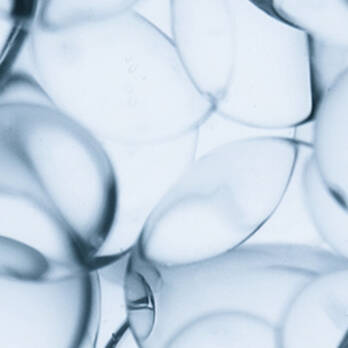 CERAMIDE R