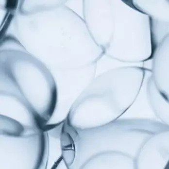 CERAMIDE R