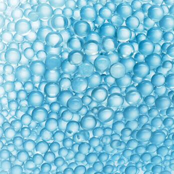 FRACTIONS PROBIOTIQUES