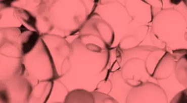 Pro-Collagen Peptides