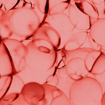 PEPTIDE