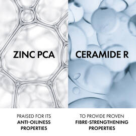 Dercos Oil Correct Conditioner