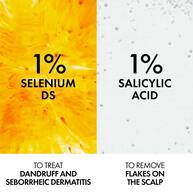 Dercos Anti-dandruff Shampoo For Normal To Dry Hair