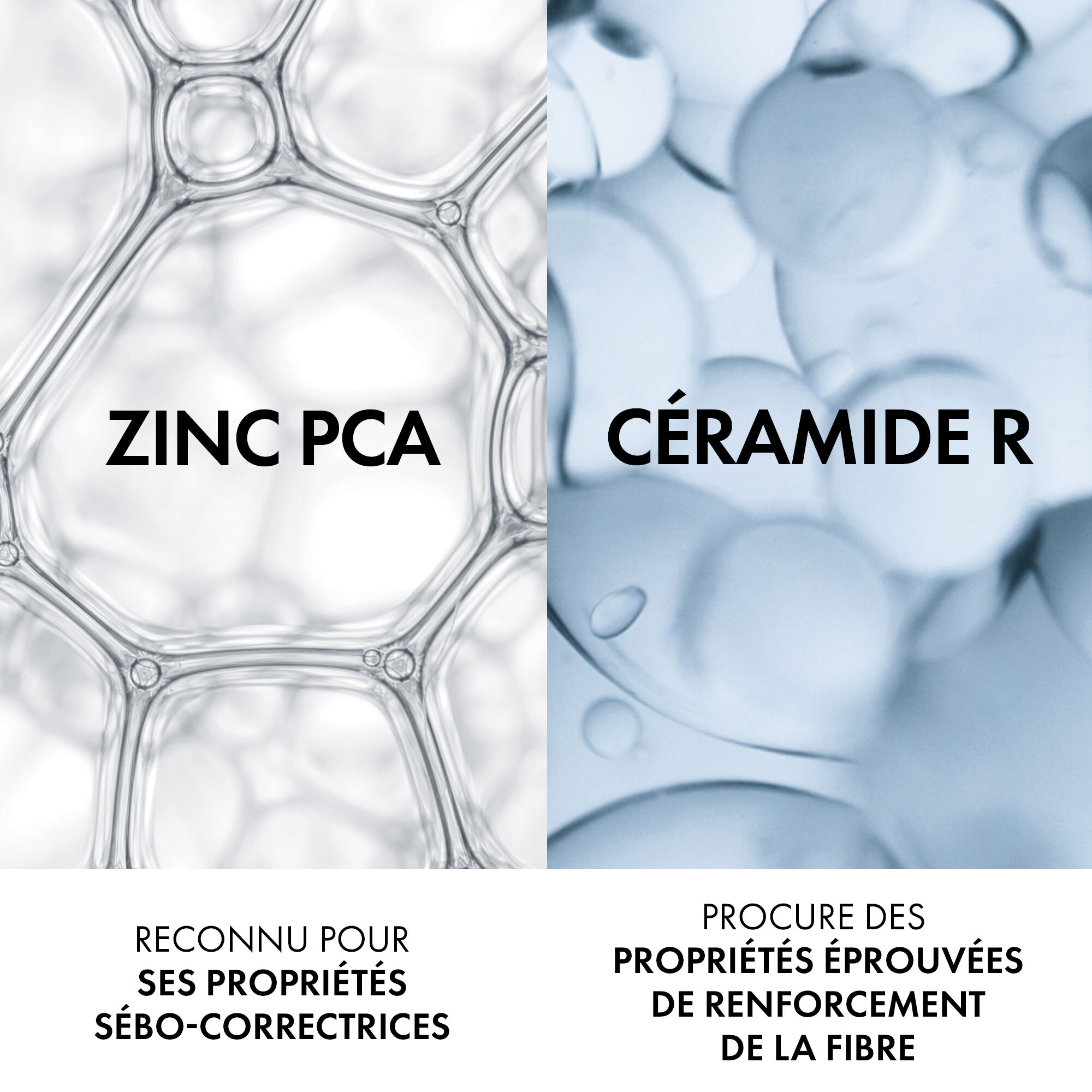 Dercos Revitalisant Sebo-Correcteur