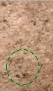 Day 0