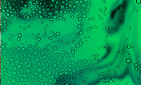 PROBIOTIQUE BIFIDUS
