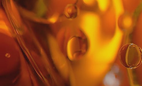 PHYTO PEPTIDES