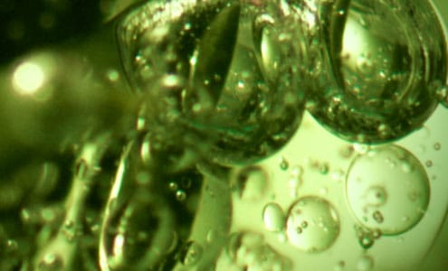 0,5 % D’ACIDE SALICYLIQUE